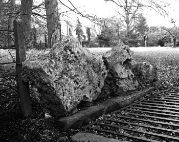 Lammas Stones.jpg (49596 bytes)